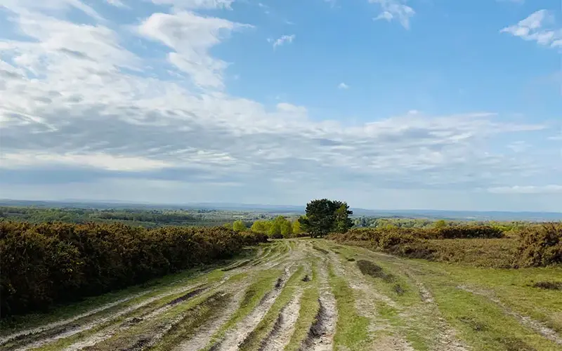 B&B East Grinstead – Cosy Bed & Breakfast Accommodation