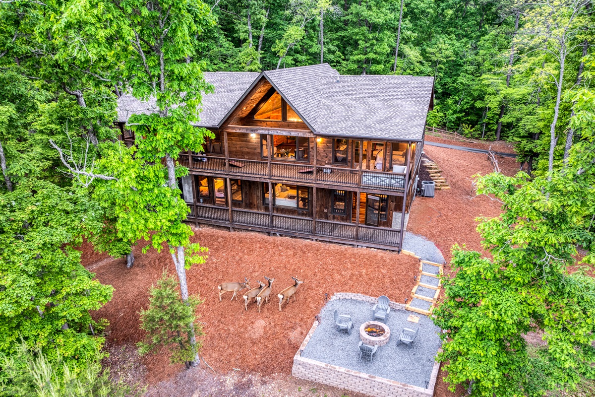 Birds Nest Sheppey Stays – Your Cosy Family and Pet-Friendly Chalet in Sheerness